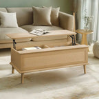 Teagan Rattan Lift-Top Coffee Table with Storage - 42 x 17